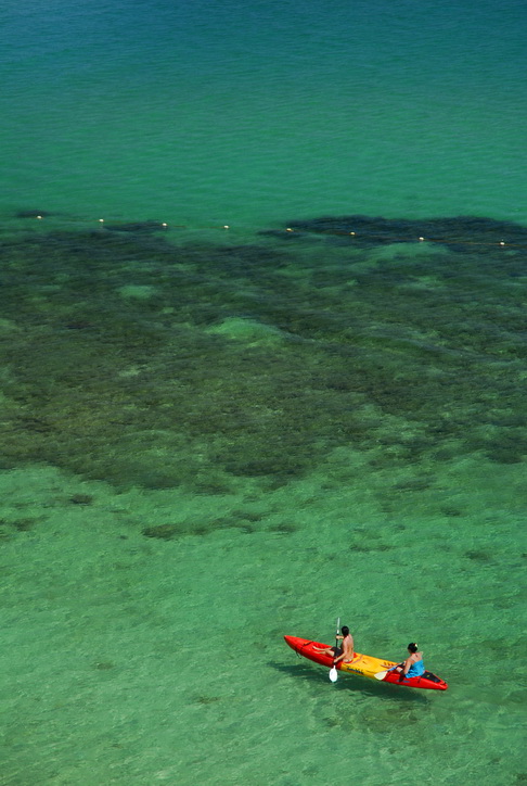 tran sea