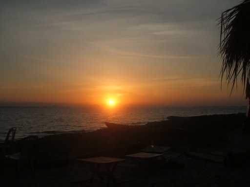 tran sea